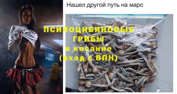 мдпв Белокуриха
