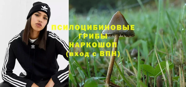 альфа пвп Семикаракорск